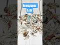 How to make Newspaper 📰 🗞️ leaf🌿 #newspapercraft #bestoutofwaste #shorts #craft #diy #leaf
