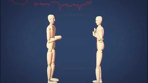 Visualisation of the nonverbal parameter Proxemics