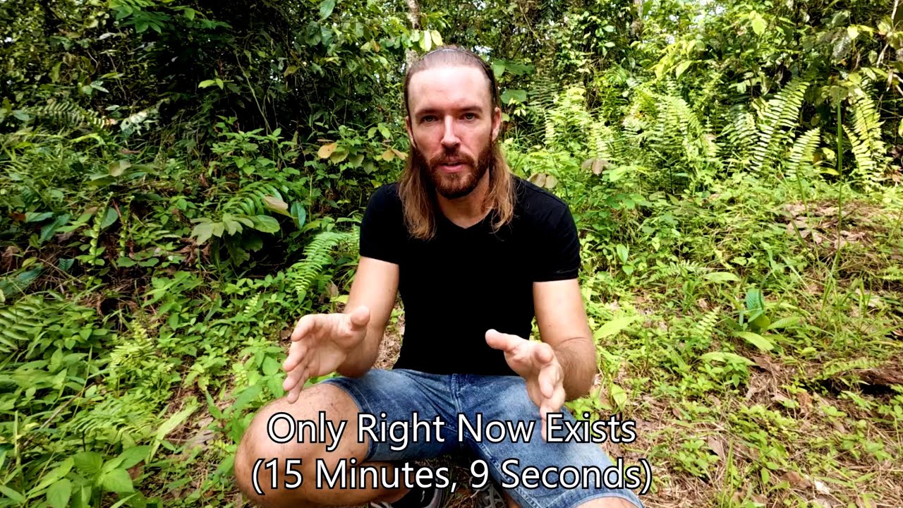 Новые видео о природе — только в Telegram