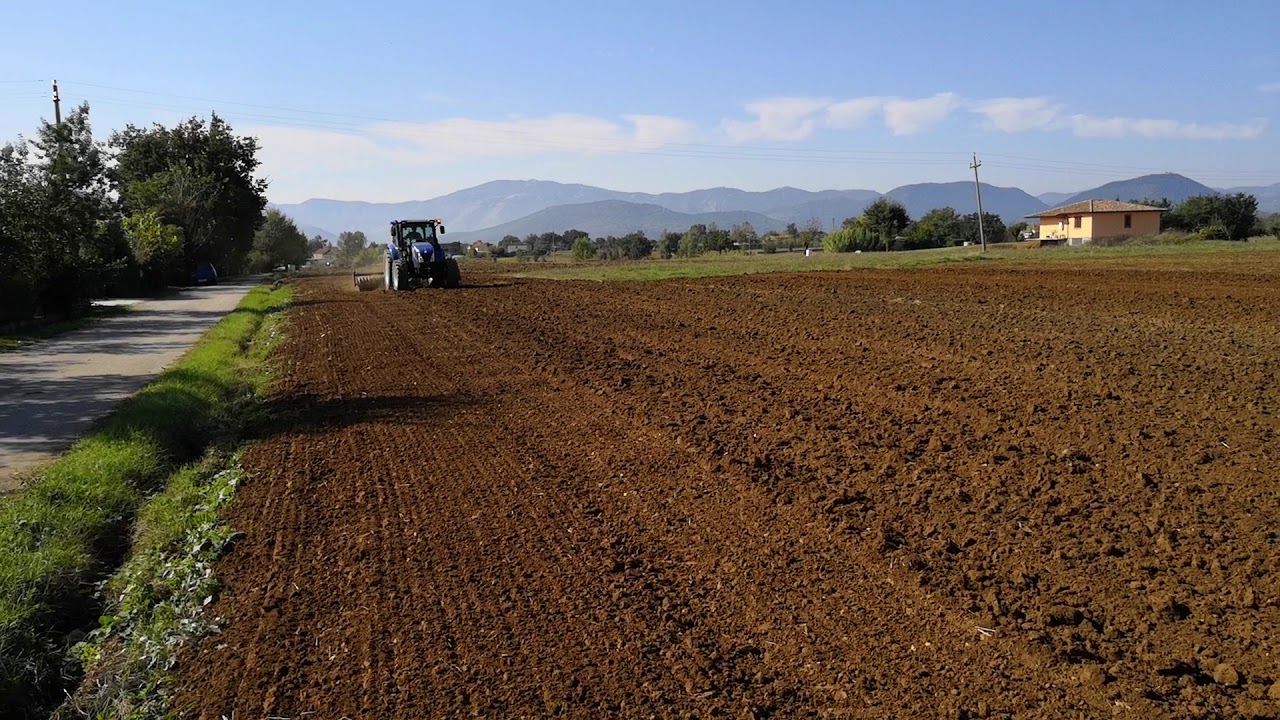 Rullo Cambridge Fuiano