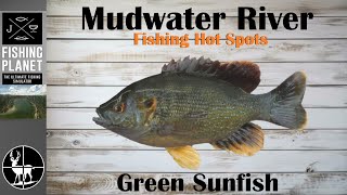 How To Catch Green Sunfish | Mudwater River | Fishing Planet Hot Spots