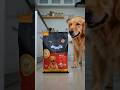 My dog is obsessed with this food 😳🐶