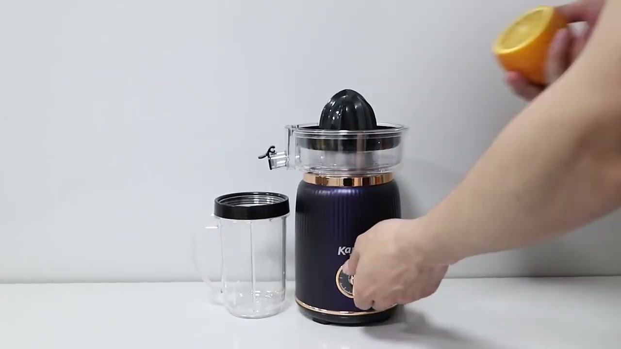 Deluxe Retro Multifunctional Blender with 2Speeds and Pulse Function Electric Fresh Fruit Juicer Smo