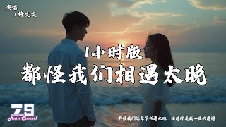 都怪我们相遇太晚 - 许文文（1小时版）『都怪我们这辈子相遇太晚，错过你是我一生的遗憾』