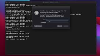 Mac OS Terminal - softwareupdate screenshot 1