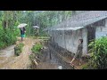 BEAUTY IN THE RAIN, FERTILITY IN THE LAND, BUT WASTE EVERYWHERE