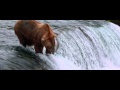 Disneynature S Bears Like Us Now Playing TV Spot 1080p 