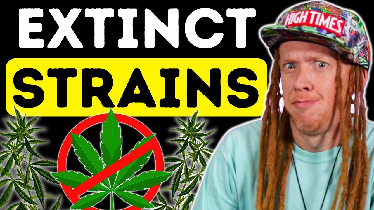 Landrace Strains: Are They Really Gone Forever?