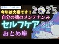 おとめ座🌈第7弾🌠2025年「セルフケア💚3択」ホッとしたくなったら占う動画⭐サクッと占い タロット セルフケアオラクルカード peace of mind /sakura with micro