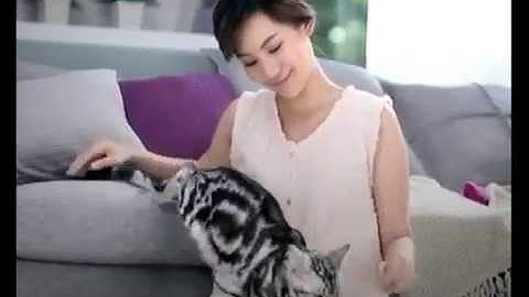 น้องเหมียวรู้ดี - Whiskas