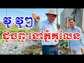 វូ វូៗ ដូចពូ នៅភ្នំគូលែន អីចឹង! #cambodia #author #environment #canal #trash #revealed #announcement
