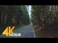 4K Scenic Drive - Mount Rainier Roads: HWY 123, HWY 410 -Foggy Road after the wildfire