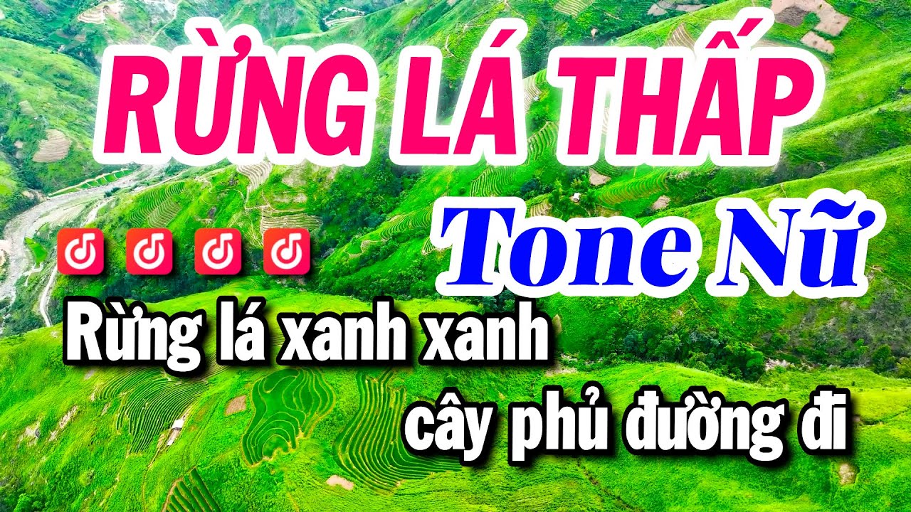 Karaoke Rừng Lá Thấp Tone Nữ Beat Hay Dễ Hát | Karaoke Tuyết Nhi 2025