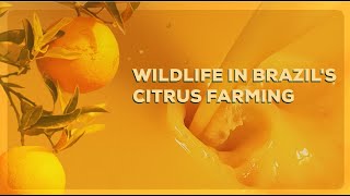 Wildlife in Brazil's citrus farming - (EMBRAPA & FUNDECITRUS)