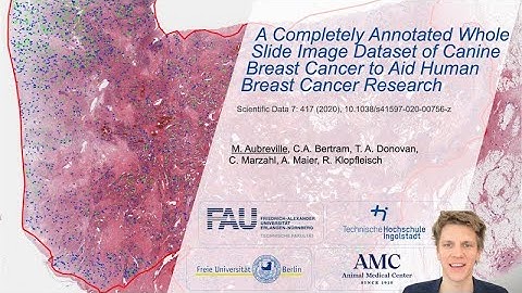 Our Completely Annotated Mitosis Dataset on Canine Breast Cancer to Aid Human Breast Cancer Research