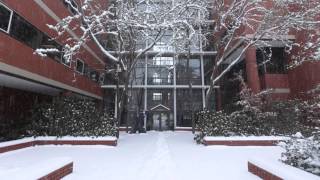 Oregon State University: Campus in Snow