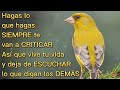 🦋Hagas lo que hagas SIEMPRE te van a criticar Así que vive tu vida e ignora lo que digan los demás