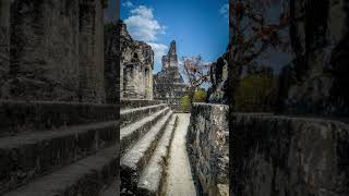 Celebrity Glimpses into the Enigmatic Past: Unlocking Ancient Lost Cities #history #discovery  #ancienthistory Wealth