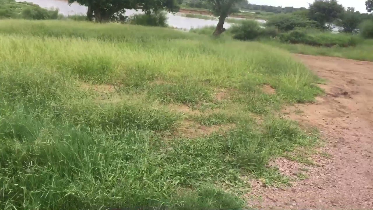 O rio mais grande da capital de Moçambique