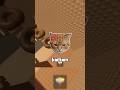 STOP KASIH KUCING KALIAN COKLAT!!! 🤯 #shorts #fyp #tower #facts #roblox