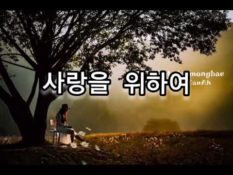 사랑을 위하여(by 김종환)...플룻연주