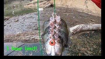 20 minutes of Pre-Spawn crappie every drop in this creek trash pile! Limited out in 1 hour!