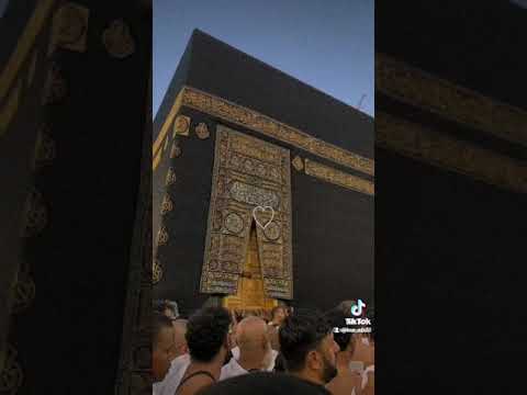 ماذا لو ذهبنا بعيدا لنلاحق أحلامنا