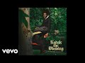 Kodak Black - Dearfield (Audio)