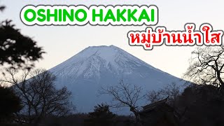 🇯🇵เที่ยวญี่ปุ่น Ep4 Oshino Hakkai หมู่บ้านน้ำใส จุดชมวิวภูเขาไฟภูจิ Fujisan