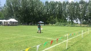 Luca & Eddy 2 Round USDDN QUALIFIER 2018 Italy