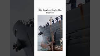 The X post by shares a 10-second video of a giant octopus rising from the ocean and wrapping is long