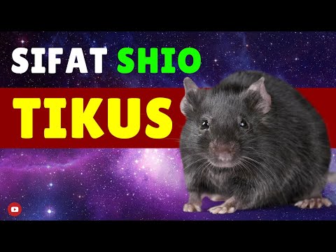 Video: Apa singkatan dari Tahun Tikus?