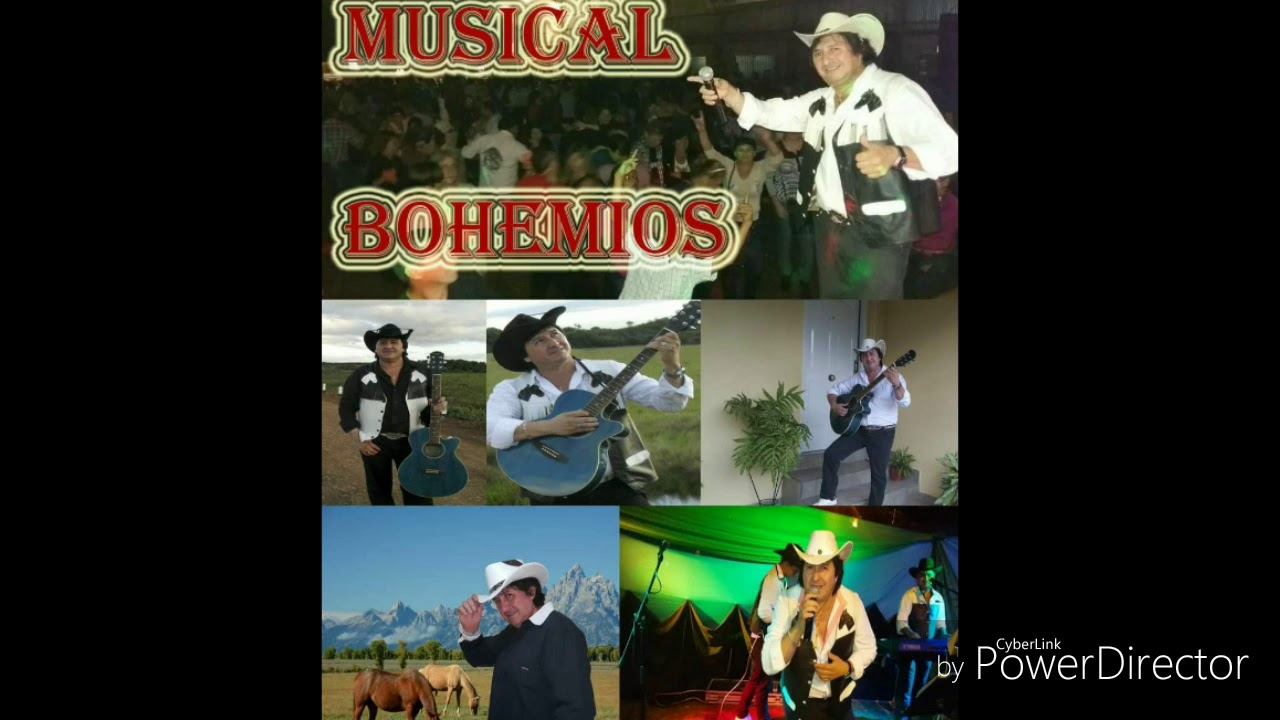 MUSICAL BOHEMIOS EN VIVO CEDROS POSADAS MISIONES