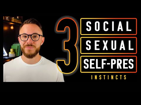 Instincts for Enneagram Type 3 Achievers [Sexual, Social, Self-Pres]