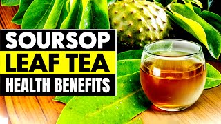 10 Amazing Health Benefits Of Soursop Leaf Tea You Need To Know!