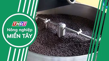 Xuất khẩu cà phê và cá ngừ gặp khó, Thủ tướng chỉ đạo giải pháp khắc phục | Nông nghiệp Miền Tây