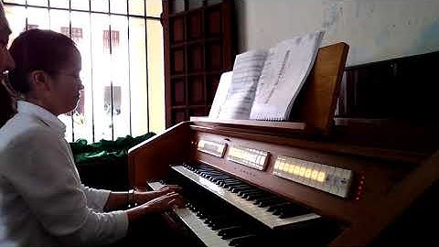 Luyện Organ