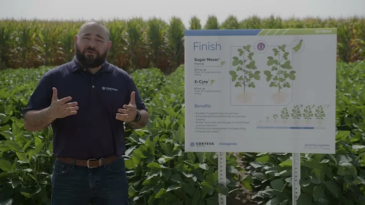Use Biological Solutions to Take Soybean Yield to the Next Level