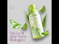 🌿 Succo di Aloe Vera Biologica – 480 ml