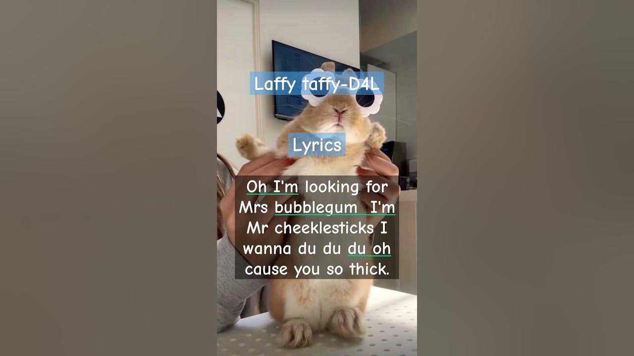 Laffy Taffy Lyrics rasa8133 YouTube