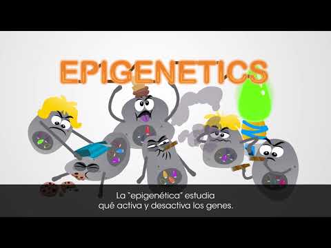 Video: ¿La epigenética causa cáncer?