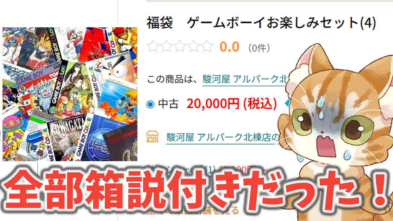 【想定外】ゲームボーイ20000円お楽しみセットが全部箱説付きだった【駿河屋アルパーク北棟店福袋】