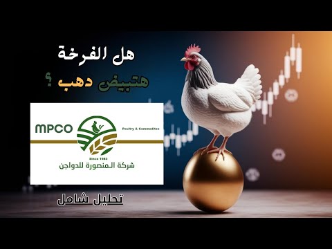 سهم المنصورة للدواجن  هل الفرخة هتبيض دهب تحليل شامل