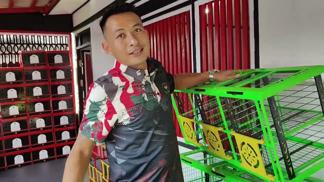 Team brutal,Sultannya merpati kolong bebas Kaltim