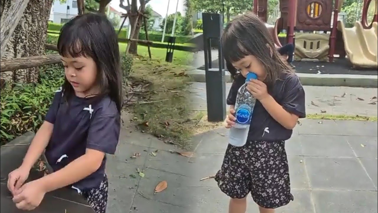 ที่เล่นประจำของต้าวแฝด 