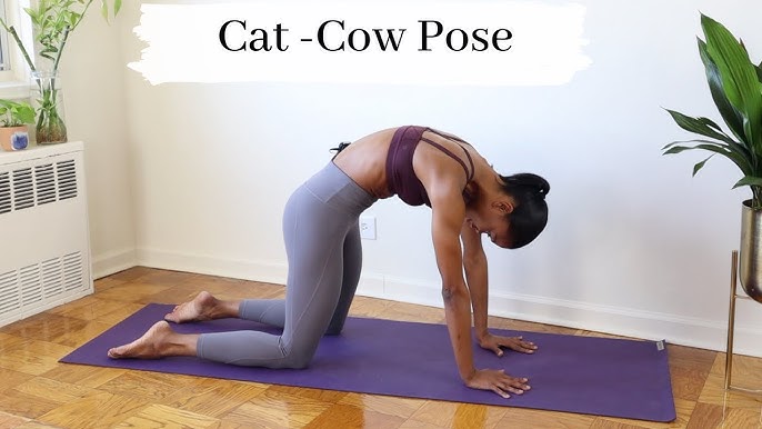 5 Yoga Asanas For Arthritis, Yoga For Arthritis, Trikonasana, Cat Cow  Pose, Vasisthasana