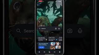 How To Use Sora Ai For Free With Microsoft Bing