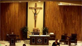 Tuesday, June 24, 2025 - Livestream Rosary and Mass