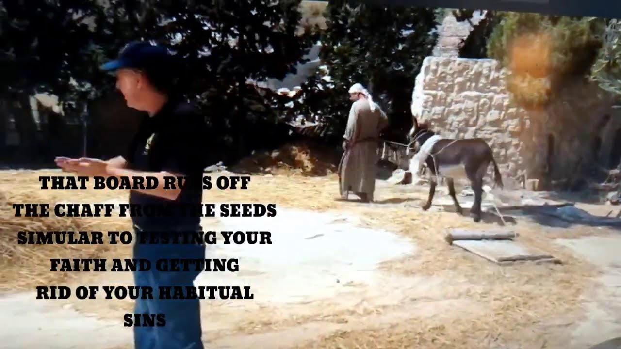 GOD IS SEPARATING THE GOOD FROM EVIL THE WHEAT FROM THE CHAFF NOW--WHICH ONE ARE YOU SHEEP OR GOAT?