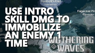 Use Intro Skill DMG to immobilize an enemy 1 time Wuthering Waves